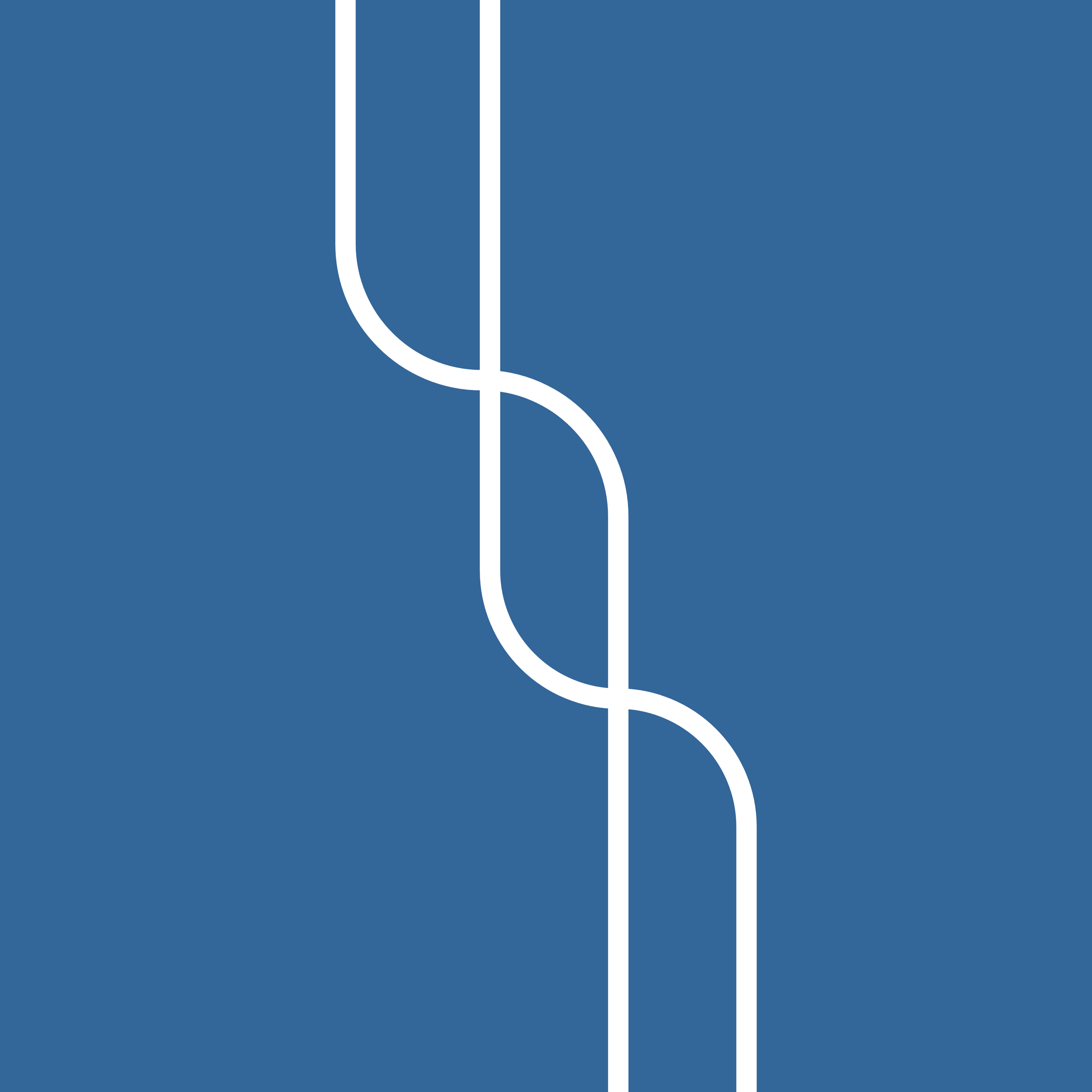 Saameh's Logo